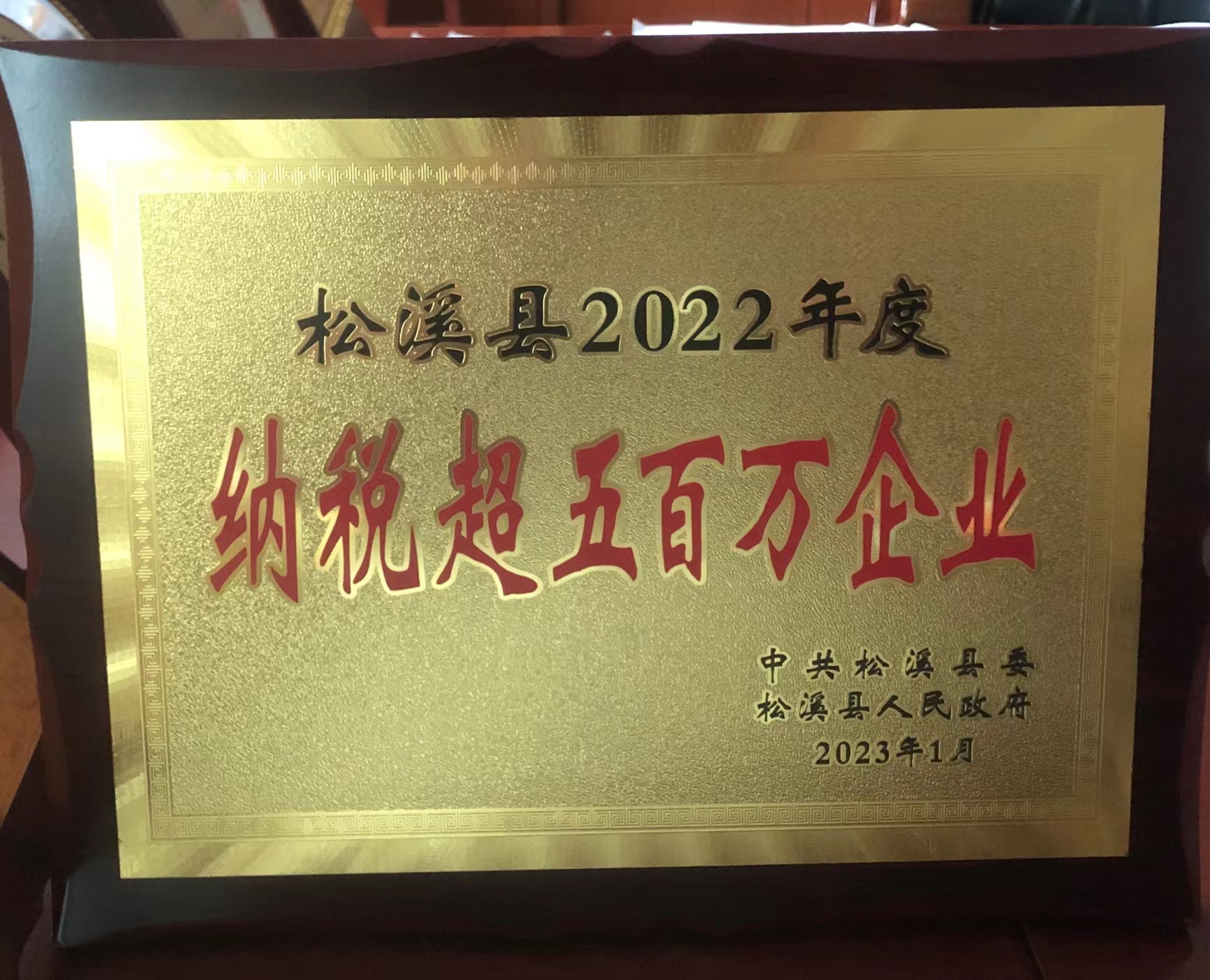 喜報(bào)！易順建工集團(tuán)喜獲“松溪縣2022年度納稅超五百萬企業(yè)”榮譽(yù)